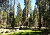 Sequoia National Park