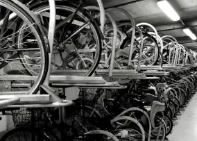 Streamlining Bicycle Purchase Process and Eliminating System Discrepancy for a Major Retailer