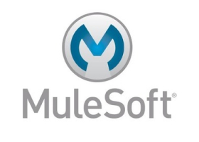 Mule Solution for Dutch Telecom to Integrate Information Management System and 3rd Party Provider