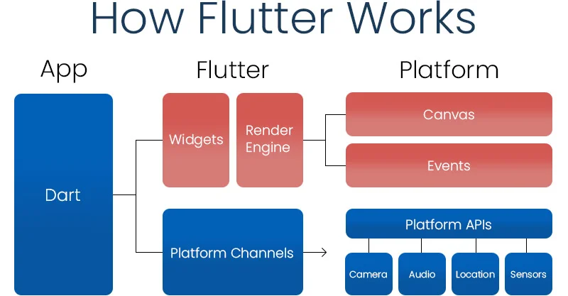 A description of how the Application works