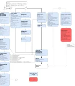 Live Interaction Process Diagram